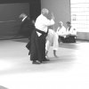 Edmund Kern Sensei 8. Dan Kyoshi in Lünen 2008